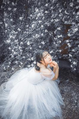 仙逆动漫在线观看完整版全集