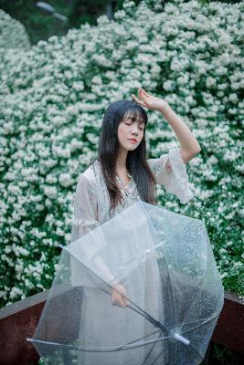 午马影视免费观看电视剧大全